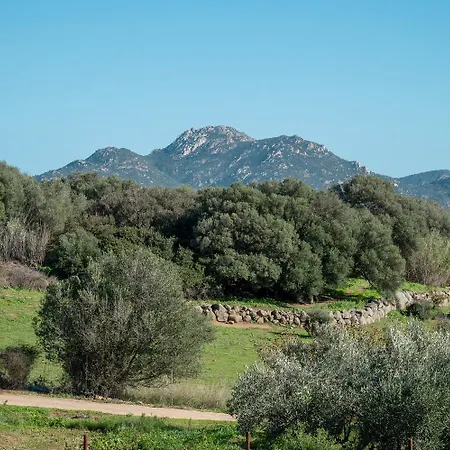 Calyra By Klodge * Olbia